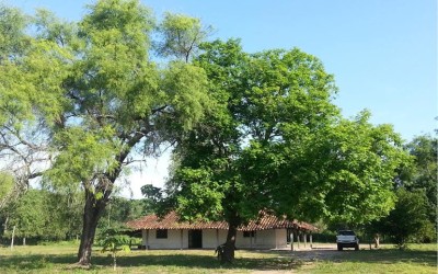 Campo en Santa Cruz, zona Chiquitania – VENDIDO