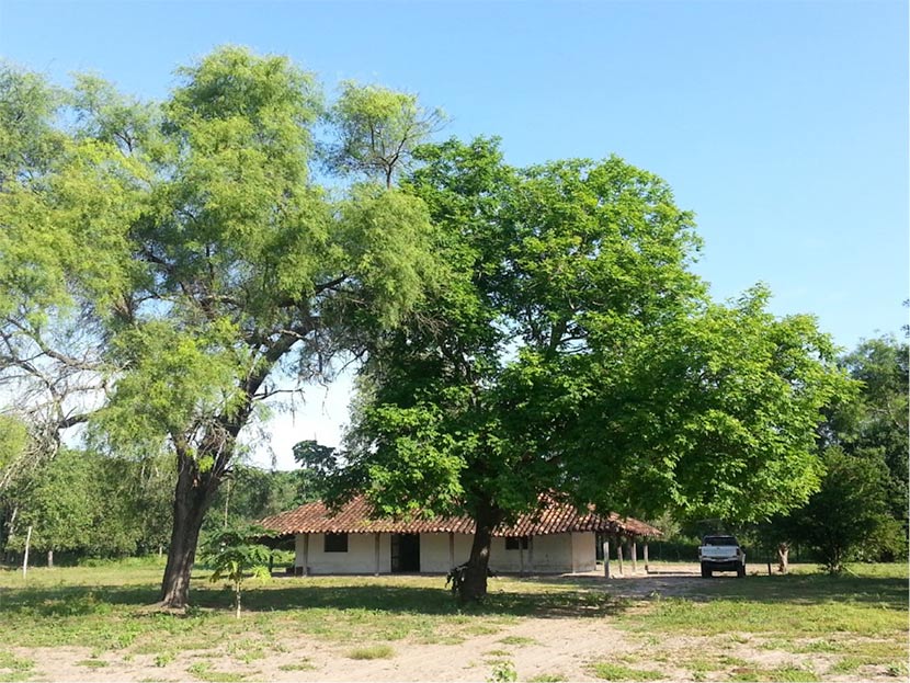 Campo en Santa Cruz, zona Chiquitania – VENDIDO