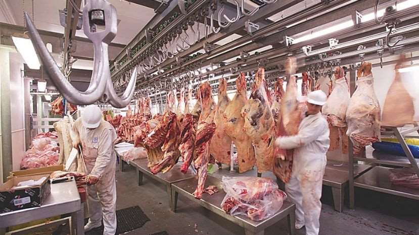 Bolivia obtiene estatus sanitario para explorar nuevos mercados de exportación de carne bovina